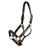 Royal Heritage Sample Leather Halters - CLEARANCE