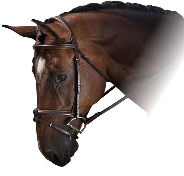 Toulouse Amelie Event Bridle-CLEARANCE