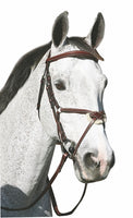HDR Pro Stress Free Figure 8 bridle - CLEARANCE