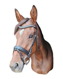Classic Dressage Bridle with relaxed clear crystals brow