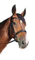 Italian Leather Dressage Bridle with Tapered Caveson-CLEARANCE