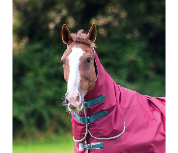 Shires Tempest Plus 200 Hood