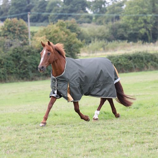 Shires Highlander Plus Lite No Fill Hood