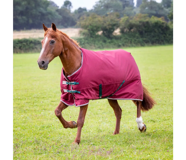 Shires Tempest Plus 200 Turnout Blanket