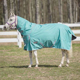 Tuff Rider 1200d Comfy MW Turnout w/ Detach A Neck 200g fill - CLEARANCE
