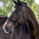 Copy of Vespucci Classic Dressage Snaffle