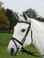 Waldhausen Star Basic Bridle-CLEARANCE