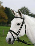 Waldhausen Star Basic Bridle-CLEARANCE