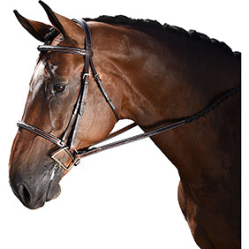 M. Toulouse Annice Hunter Bridle