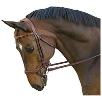 M. Toulouse Hybrid Hunter-Jumper Bridle