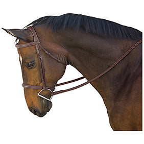 M. Toulouse Camden Hunter Bridle