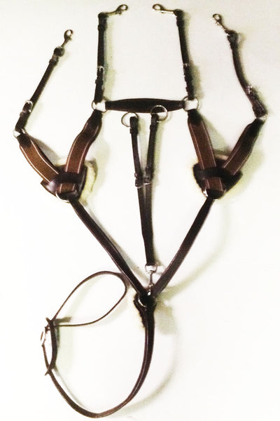 Classic 5 point breastplate