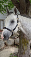 Classic Raised Halter with padded crown