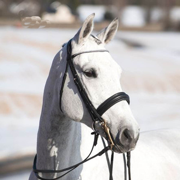 Vienna Weymouth Bridle