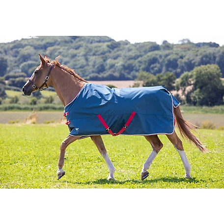 Shires Tempest Lite