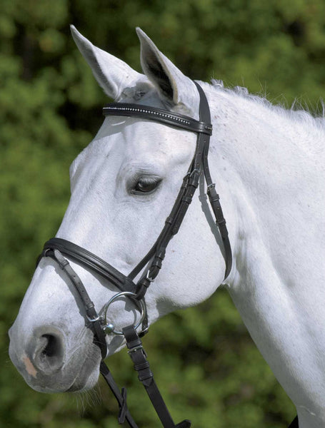 Waldhausen Star (and Basic) Bling Bridle-CLEARANCE